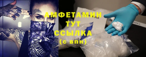 прущие грибы Беломорск