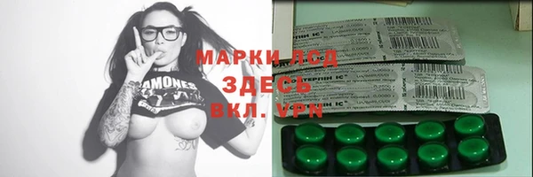 прущие грибы Беломорск