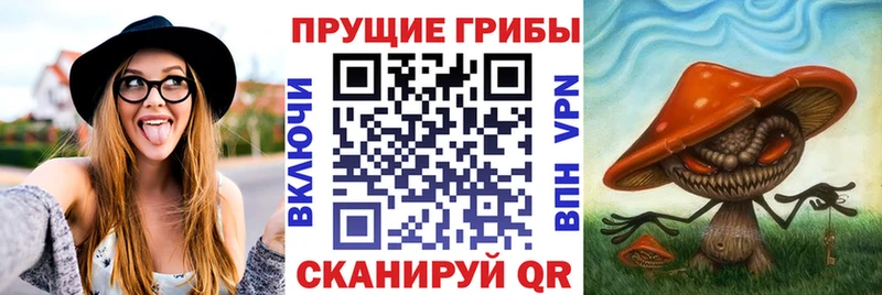 Псилоцибиновые грибы прущие грибы  Купить где  Циолковский 